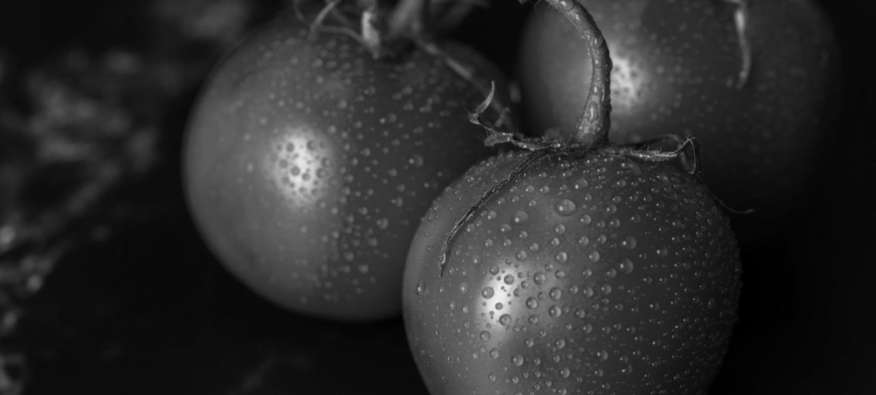 Исследовательская лаборатория нутрициологии